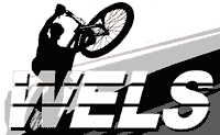 Логотип фирмы Wels